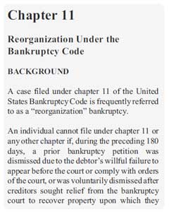 Chapter 11 US bankrupcy law